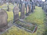 image of grave number 531359